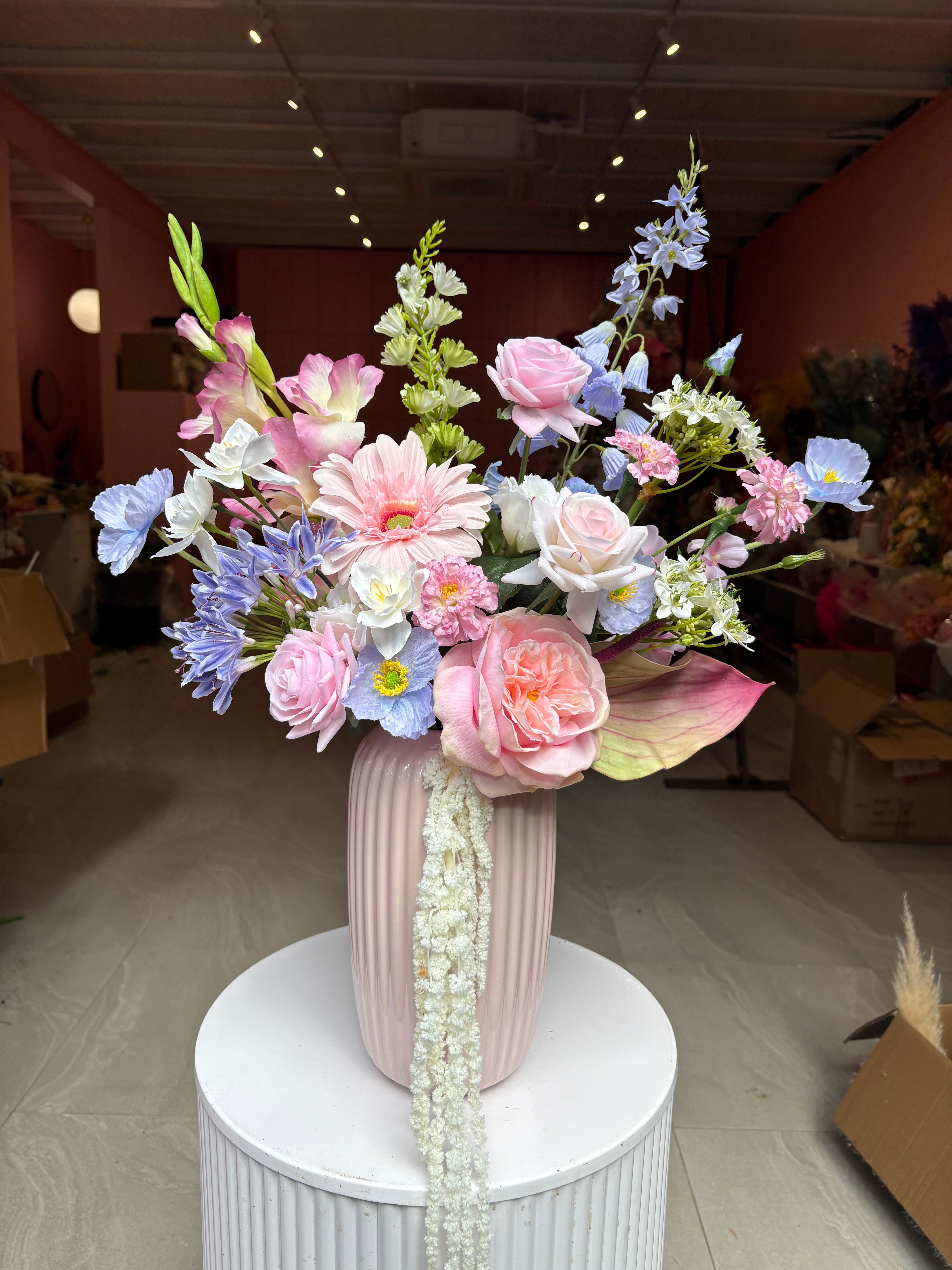 VASE 6.0