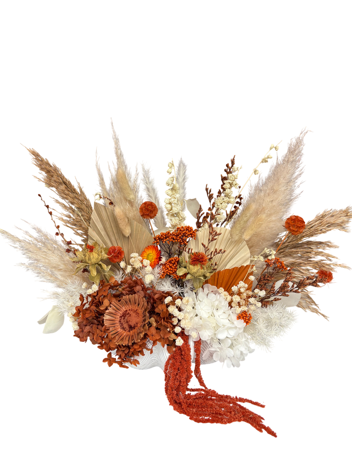 JESARA CLAM SHELL