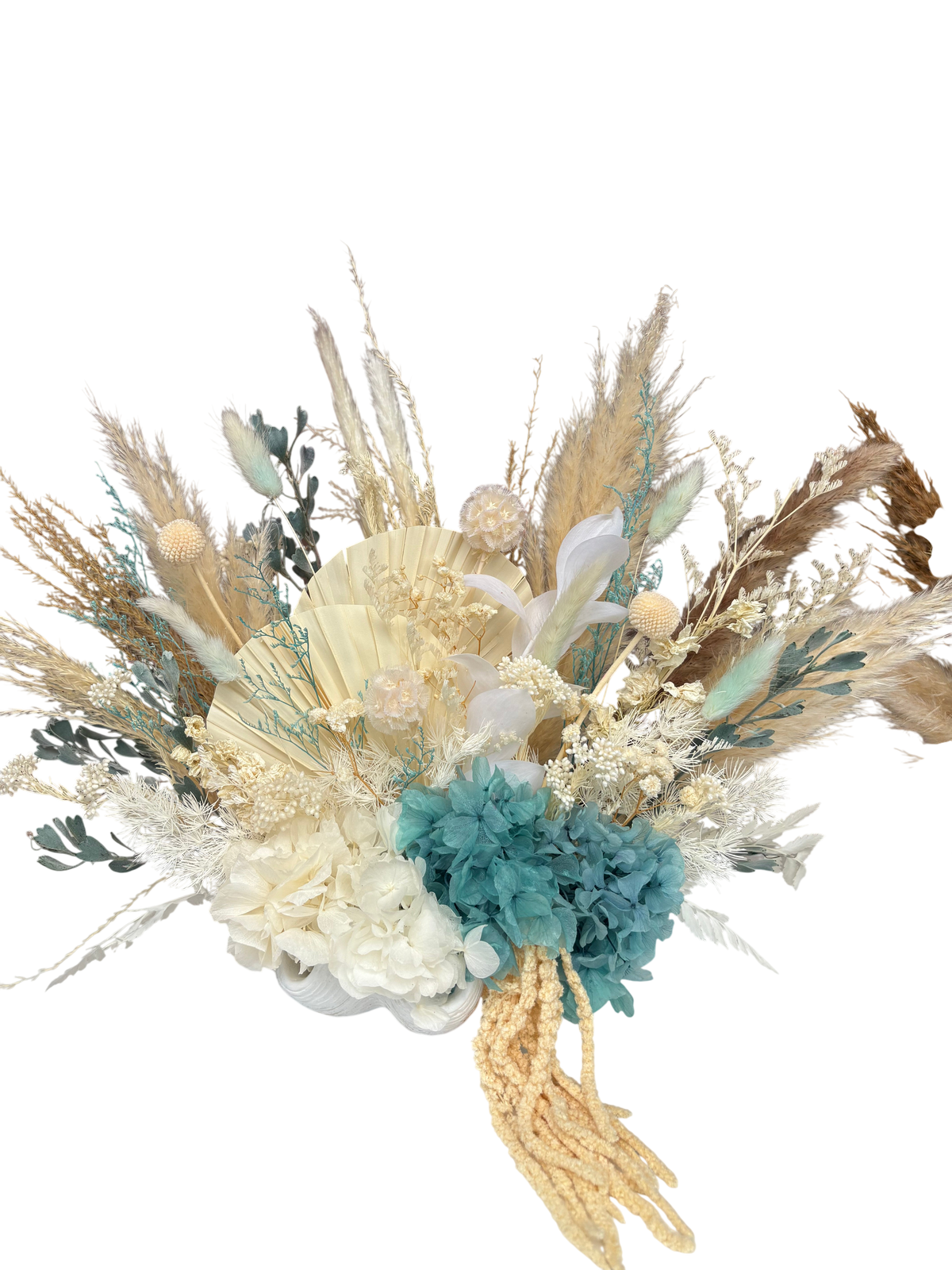 AQUA CLAM SHELL