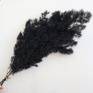 Ming Fern - Black