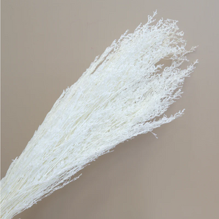 Valentines Grass - White