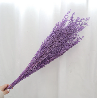 Valentines Grass - Bright Purple