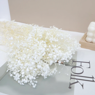 Baby's Breath - White