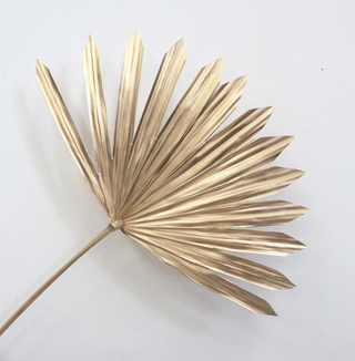 Sun Palm - Gold