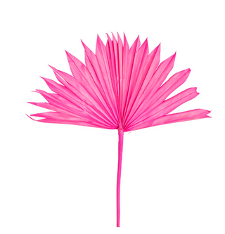 Sun Palm - Hot Pink
