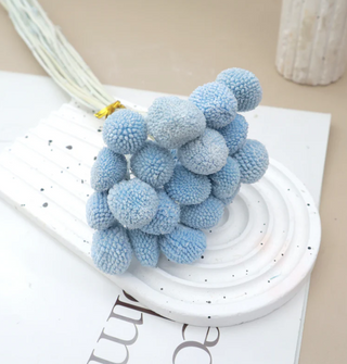 Billy Buttons - Blue