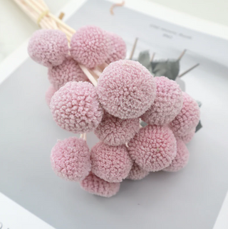 Billy Buttons - Mauve
