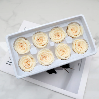 Preserved Roses - Peach