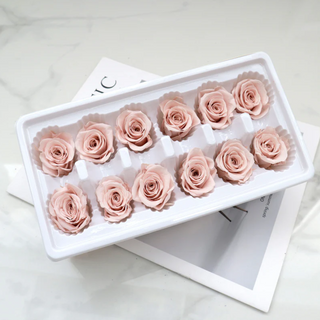 Preserved Roses - Dusty Pink