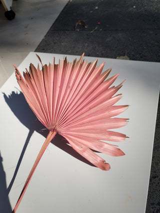 Sun Palm - Burnt Dusty Pink