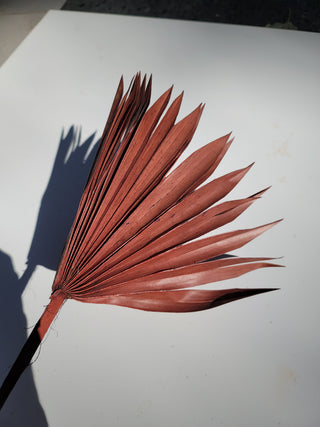 Sun Palm - Brown